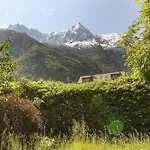 Les Alpins - Centre De - Renove Avec Jardin Et Vue Imprenable Sur Le Montblanc