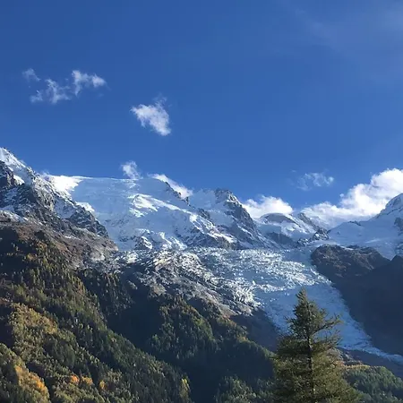 Les Alpins - Centre De - Renove Avec Jardin Et Vue Imprenable Sur Le Montblanc * شامونكس