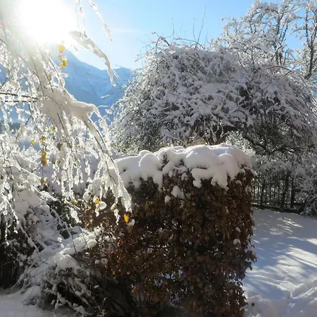 Les Alpins - Centre De - Renove Avec Jardin Et Vue Imprenable Sur Le Montblanc شقة